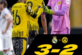 德甲关键时刻再迎强敌；费耶诺德伤情更新；主帅态度：球迷炸锅；训练强度明显提升的简单介绍